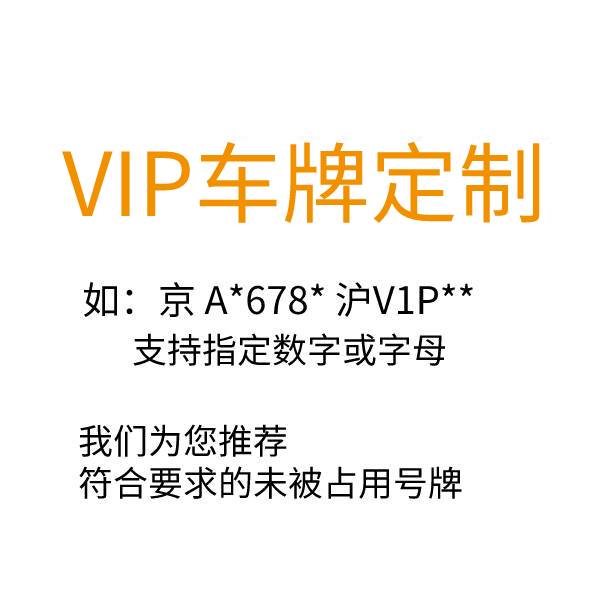 12123自编车牌-VIP定制号牌