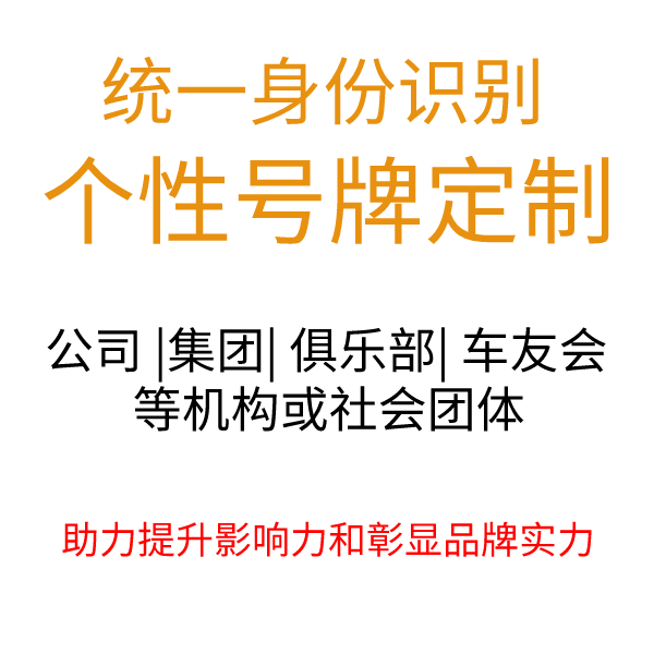 12123自编车牌占用查询软件