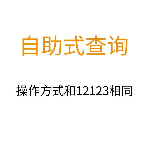 12123自编车牌-占用查询